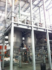 松原添加剂技术美洲公司美国休斯敦一站式系统工厂正式投产，深化全球技术布局