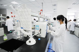 第三方检测机构资质认证新规解读 最新《意见稿》要点与技术咨询指引