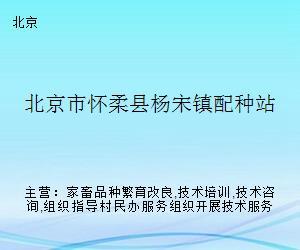 怀柔畜牧技术服务站 深化配种技术咨询，助力乡村振兴